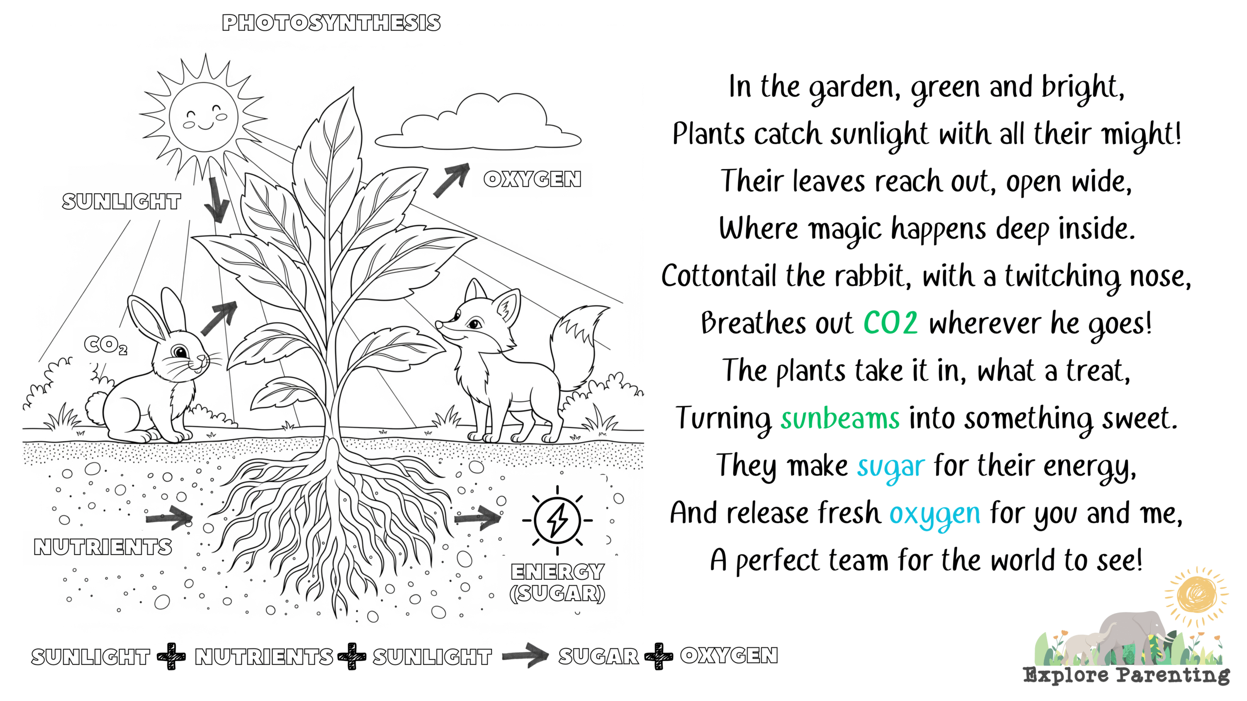 Photosynthesis